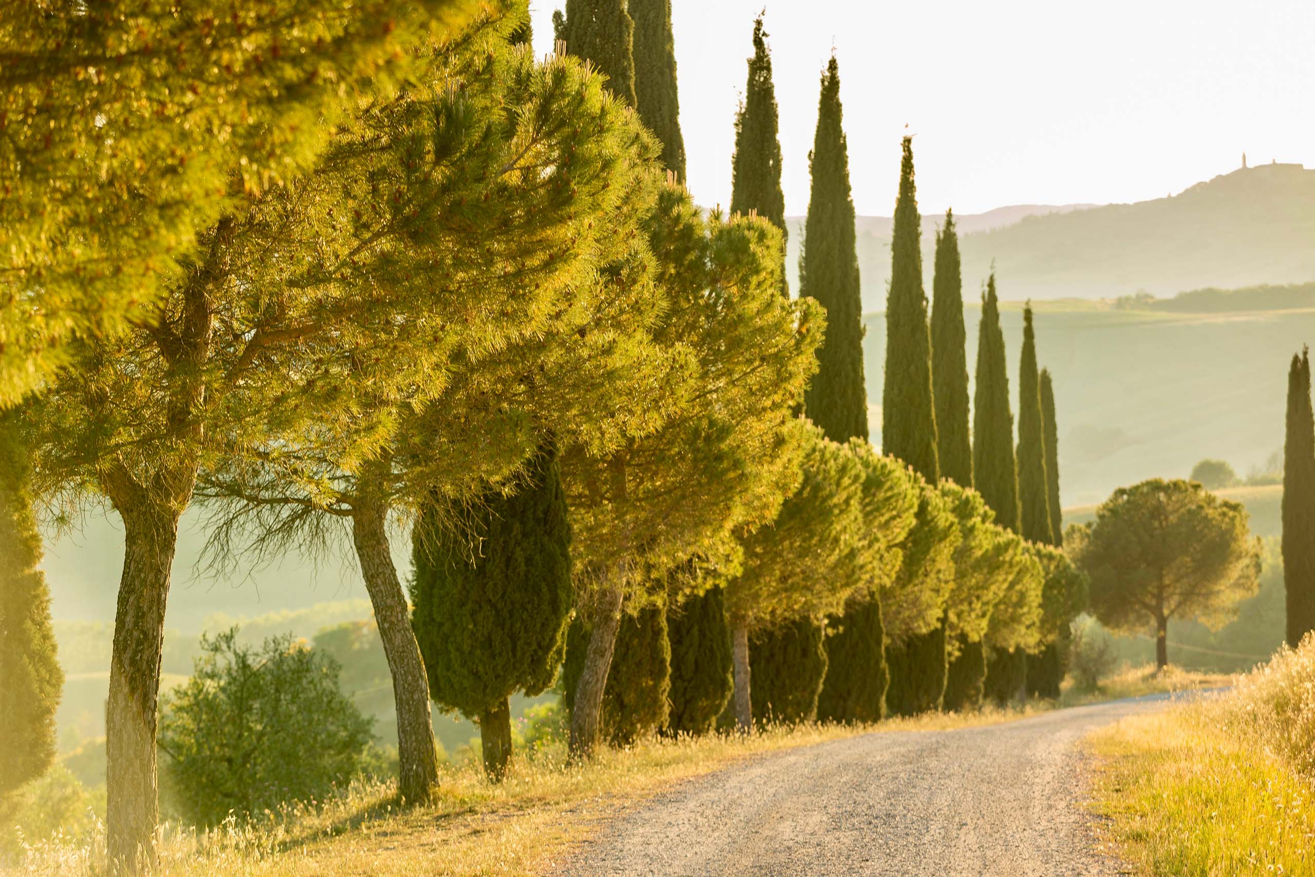 Hypnose-Hypnosetherapie